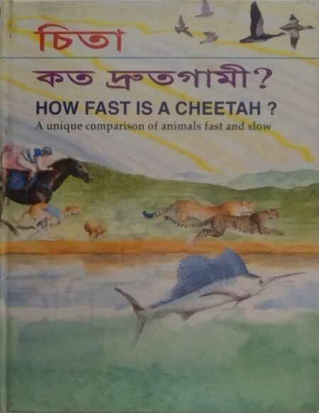 চিতা কত দ্রুতগামী
