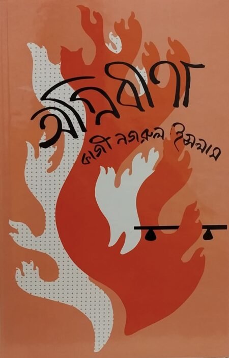অগ্নিবীণা